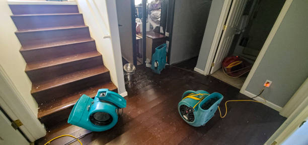  Fort Hood, TX Water damage restoration Pros