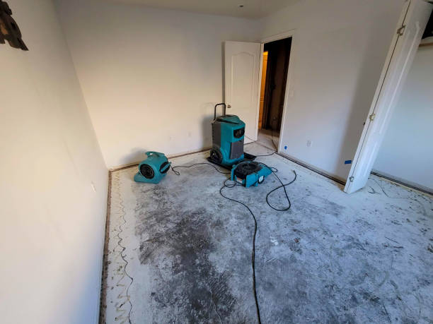 Best Flood restoration services  in Fort Hood, TX