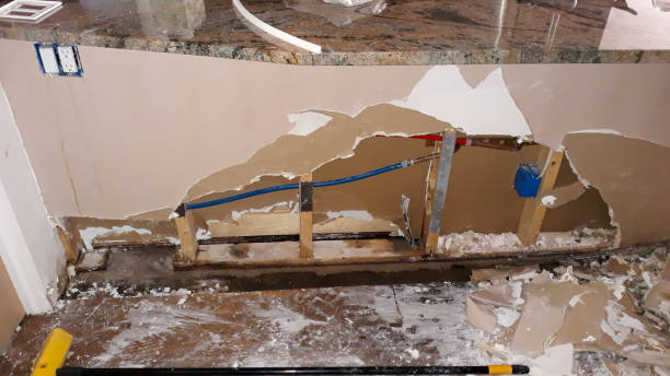 Best Mold removal after water damage  in Fort Hood, TX