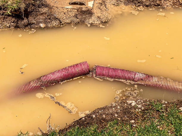 Best Water damage contractors near me  in Fort Hood, TX