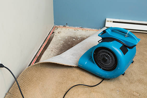 Best Water damage restoration company  in Fort Hood, TX